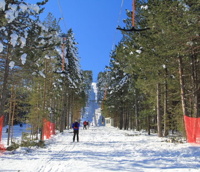 Tornik